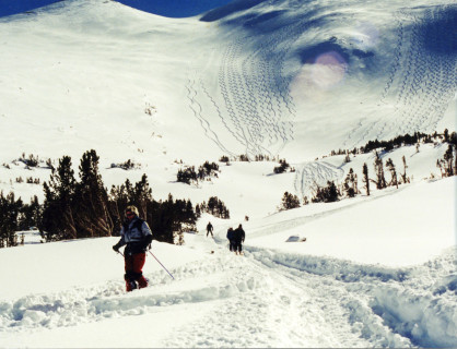 Elizabeth backcountry snowcat skiing