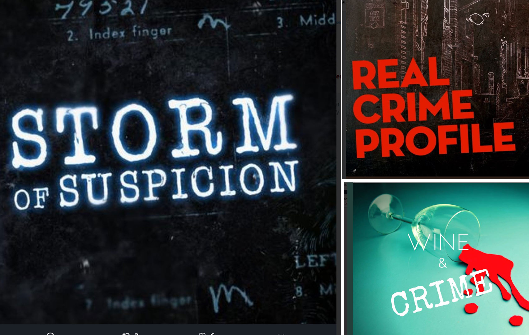 Dr. Austin’s Upcoming Appearances On The Weather Channel’s Storm Of Suspicion And Truecrime Podcasts Real Crime Profile And Wine & Crime!